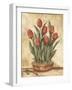 Potted Tulips-Tina Chaden-Framed Art Print