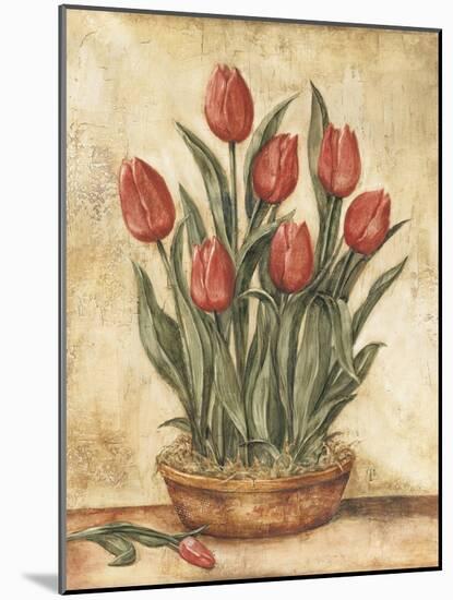 Potted Tulips-Tina Chaden-Mounted Art Print