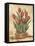 Potted Tulips-Tina Chaden-Framed Stretched Canvas