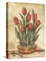 Potted Tulips-Tina Chaden-Stretched Canvas