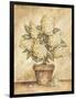 Potted White Hydrangea-Tina Chaden-Framed Art Print