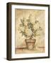 Potted White Hydrangea-Tina Chaden-Framed Art Print