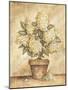 Potted White Hydrangea-Tina Chaden-Mounted Art Print