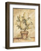 Potted White Hydrangea-Tina Chaden-Framed Art Print