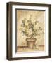 Potted White Hydrangea-Tina Chaden-Framed Art Print