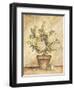 Potted White Hydrangea-Tina Chaden-Framed Art Print