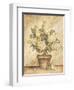 Potted White Hydrangea-Tina Chaden-Framed Art Print