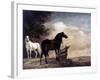 Potter: Horses, 1649-Paul Potter-Framed Giclee Print