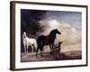 Potter: Horses, 1649-Paul Potter-Framed Giclee Print