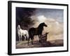 Potter: Horses, 1649-Paul Potter-Framed Giclee Print