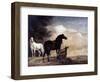 Potter: Horses, 1649-Paul Potter-Framed Giclee Print