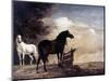 Potter: Horses, 1649-Paul Potter-Mounted Giclee Print