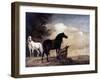 Potter: Horses, 1649-Paul Potter-Framed Giclee Print