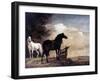 Potter: Horses, 1649-Paul Potter-Framed Giclee Print