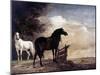 Potter: Horses, 1649-Paul Potter-Mounted Giclee Print