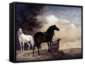 Potter: Horses, 1649-Paul Potter-Framed Stretched Canvas
