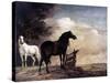 Potter: Horses, 1649-Paul Potter-Stretched Canvas