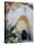 Pottery and Flowering Vine, Oia, Santorini, Greece-Darrell Gulin-Stretched Canvas