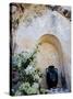 Pottery and Flowering Vine, Oia, Santorini, Greece-Darrell Gulin-Stretched Canvas