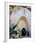 Pottery and Flowering Vine, Oia, Santorini, Greece-Darrell Gulin-Framed Photographic Print