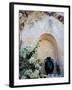 Pottery and Flowering Vine, Oia, Santorini, Greece-Darrell Gulin-Framed Photographic Print