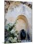 Pottery and Flowering Vine, Oia, Santorini, Greece-Darrell Gulin-Mounted Photographic Print