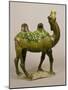 Pottery Chinese Wailing Camel, T'Ang Dynasty, 8th Century Pottery Wailing Camel, 8th Century-null-Mounted Giclee Print