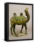Pottery Chinese Wailing Camel, T'Ang Dynasty, 8th Century Pottery Wailing Camel, 8th Century-null-Framed Stretched Canvas