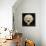 Pottery Feline Mask, Artifact Originating from La Tolita-null-Framed Stretched Canvas displayed on a wall