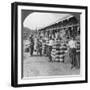 Pottery Shop on a Street in Mandalay, Burma, 1908-null-Framed Photographic Print