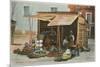 Pottery Stand in Chihuahua, Mexico-null-Mounted Premium Giclee Print