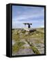 Poulnabrone Dolmen Portal Megalithic Tomb, the Burren, County Clare, Munster, Republic of Ireland-Gary Cook-Framed Stretched Canvas