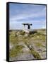 Poulnabrone Dolmen Portal Megalithic Tomb, the Burren, County Clare, Munster, Republic of Ireland-Gary Cook-Framed Stretched Canvas