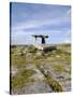 Poulnabrone Dolmen Portal Megalithic Tomb, the Burren, County Clare, Munster, Republic of Ireland-Gary Cook-Stretched Canvas