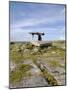 Poulnabrone Dolmen Portal Megalithic Tomb, the Burren, County Clare, Munster, Republic of Ireland-Gary Cook-Mounted Photographic Print