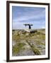 Poulnabrone Dolmen Portal Megalithic Tomb, the Burren, County Clare, Munster, Republic of Ireland-Gary Cook-Framed Photographic Print