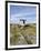 Poulnabrone Dolmen Portal Megalithic Tomb, the Burren, County Clare, Munster, Republic of Ireland-Gary Cook-Framed Photographic Print