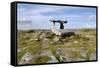 Poulnabrone Dolmen Portal Megalithic Tomb, the Burren, County Clare, Munster, Republic of Ireland-Gary Cook-Framed Stretched Canvas