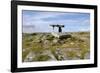 Poulnabrone Dolmen Portal Megalithic Tomb, the Burren, County Clare, Munster, Republic of Ireland-Gary Cook-Framed Photographic Print