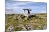 Poulnabrone Dolmen Portal Megalithic Tomb, the Burren, County Clare, Munster, Republic of Ireland-Gary Cook-Mounted Photographic Print