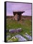Poulnabrone Dolmen, the Burren, Co, Clare, Ireland-Doug Pearson-Framed Stretched Canvas