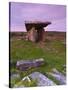 Poulnabrone Dolmen, the Burren, Co, Clare, Ireland-Doug Pearson-Stretched Canvas