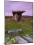 Poulnabrone Dolmen, the Burren, Co, Clare, Ireland-Doug Pearson-Mounted Photographic Print