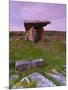 Poulnabrone Dolmen, the Burren, Co, Clare, Ireland-Doug Pearson-Mounted Photographic Print