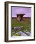 Poulnabrone Dolmen, the Burren, Co, Clare, Ireland-Doug Pearson-Framed Photographic Print