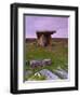 Poulnabrone Dolmen, the Burren, Co, Clare, Ireland-Doug Pearson-Framed Photographic Print