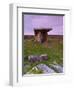 Poulnabrone Dolmen, the Burren, Co, Clare, Ireland-Doug Pearson-Framed Photographic Print