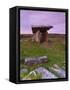 Poulnabrone Dolmen, the Burren, Co, Clare, Ireland-Doug Pearson-Framed Stretched Canvas