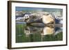 Poulsbo Harbor seals relax on marina floatation, Washington State, USA-Trish Drury-Framed Photographic Print