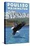 Poulsbo, Washington - Eagle Fishing-Lantern Press-Stretched Canvas